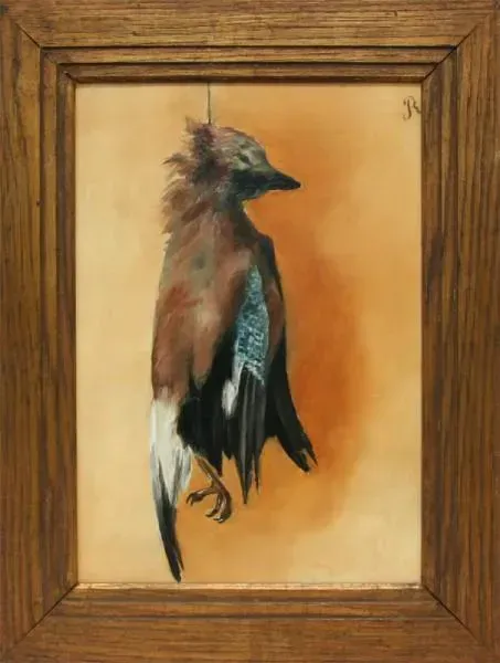 Vlaamse gaai - Louis Albert Roessingh